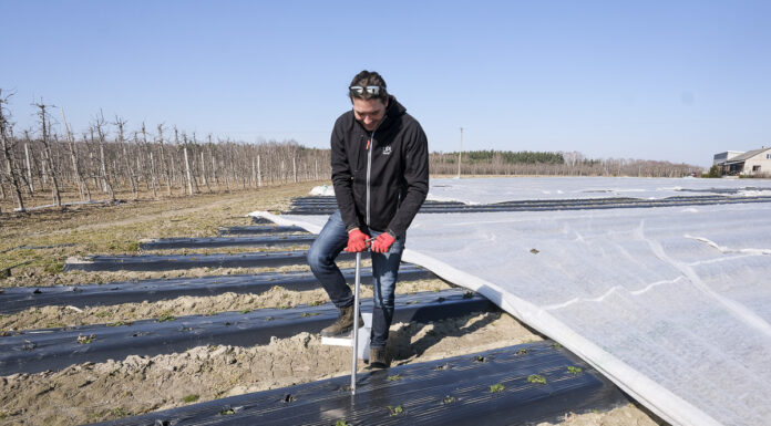Pierwsze zabiegi na plantacjach truskawek. Zaczynamy od analizy gleby. FILM