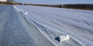 Idzie zima. Uwaga na mróz!