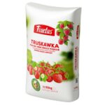 Fructus_Truskawka_malina_owoce_miękkie