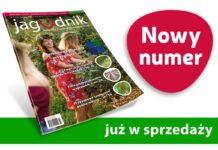 Jagodnik 3/2022 już w sprzedaży