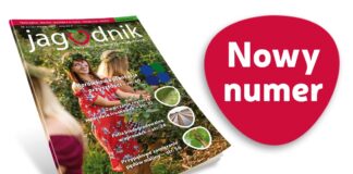 Jagodnik 3/2022 już w sprzedaży