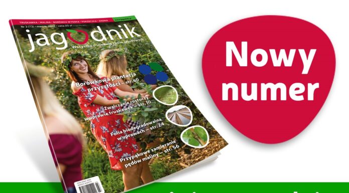 Jagodnik 3/2022 już w sprzedaży