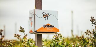 Kompleksowe rozwiązanie do zapylania jagodników