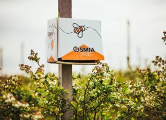 Kompleksowe rozwiązanie do zapylania jagodników