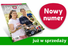 Jagodnik 4/2022 – już w sprzedaży