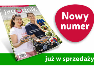 Jagodnik 4/2022 – już w sprzedaży
