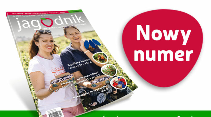 Jagodnik 4/2022 – już w sprzedaży