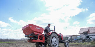 Truskawkowe Inspiracje – przygotowanie gleby przed sadzeniem truskawek. FILM