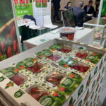 IMG_2489fruit_logistica_2022