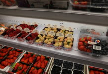 Fruit Logistica 2022 – nie zawsze łatwe rozwiązania
