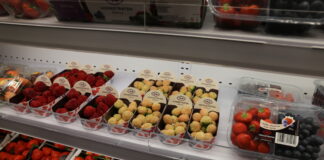 Fruit Logistica 2022 – nie zawsze łatwe rozwiązania