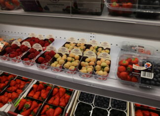 Fruit Logistica 2022 – nie zawsze łatwe rozwiązania
