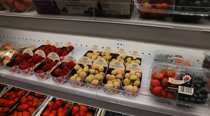 Fruit Logistica 2022 – nie zawsze łatwe rozwiązania