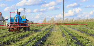 Jak to jest z mieszaninami zbiornikowymi? Tzw. TANK-MIXy