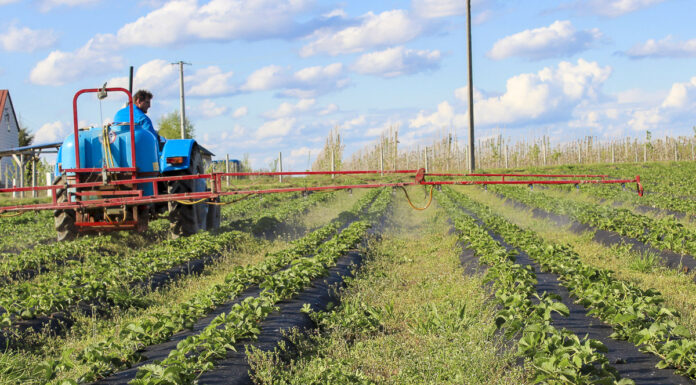 Jak to jest z mieszaninami zbiornikowymi? Tzw. TANK-MIXy