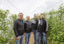 Nawożenie malin. Cz. I – odmiana, gleba, analizy