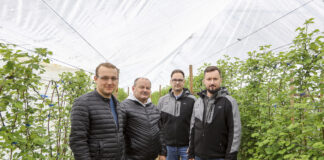 Nawożenie malin. Cz. I – odmiana, gleba, analizy