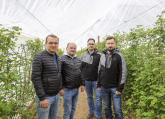 Nawożenie malin. Cz. I – odmiana, gleba, analizy
