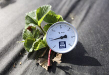 Temperatura gleby jest zbyt niska by zaczynać fertygację