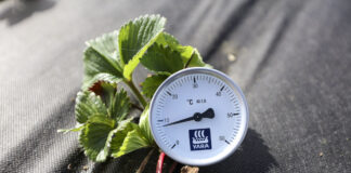 Temperatura gleby jest zbyt niska by zaczynać fertygację