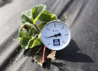 Temperatura gleby jest zbyt niska by zaczynać fertygację