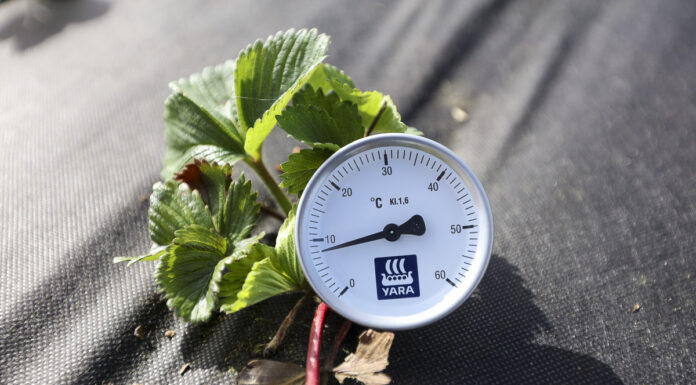 Temperatura gleby jest zbyt niska by zaczynać fertygację