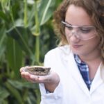 Female agronomist specialist examining soil sample for fertility potential.