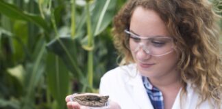 Czy znasz znaczenie mikrobiomu glebowego?