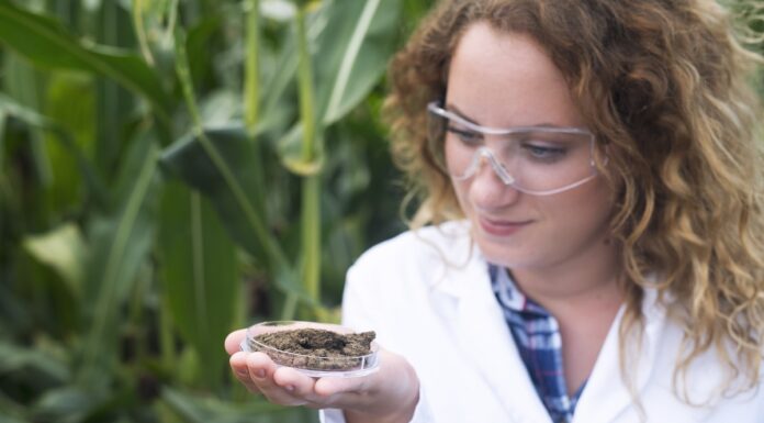 Czy znasz znaczenie mikrobiomu glebowego?