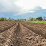 Rural landscape. Arable land. Cinematic views of plowed land in the countryside on the background of trees and houses