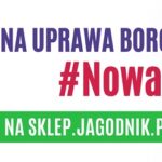 Nowoczesna uprawa borówki (1)