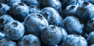 Niemcy biją rekordy w imporcie borówek i malin