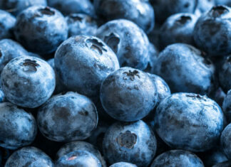 Niemcy biją rekordy w imporcie borówek i malin