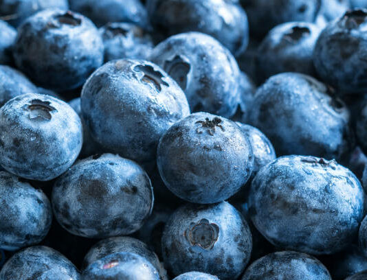 W Chinach wyprodukowano prawie milion ton borówek!