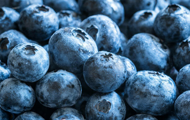 Zbiory owoców jagodowych w Niemczech wyższe o 27%