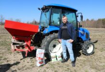 Kiedy nawozić truskawki?