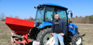 Kiedy nawozić truskawki?