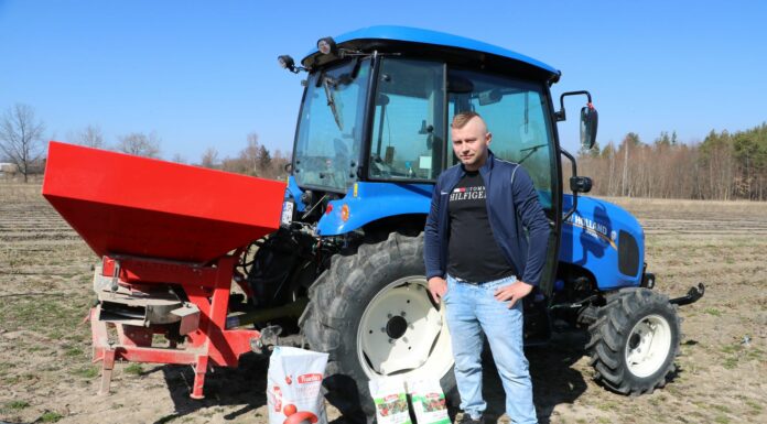 Kiedy nawozić truskawki?