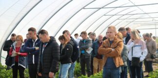 Truskawki i maliny – sprawdzone w praktyce. FOTOGALERIA