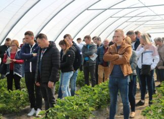 Truskawki i maliny – sprawdzone w praktyce. FOTOGALERIA