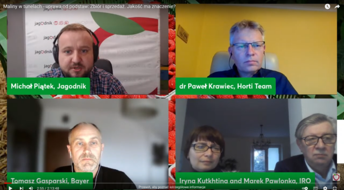 Jakie będą ceny przemysłowych malin w 2022 roku?