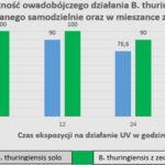 ZeoSand_Krzem_Obraz2 (6)