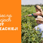 czerwiec-na-plantacjach-jagody-kamczackiej_820x461_06