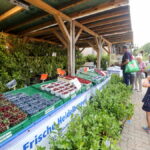 10.img_0399Jagodnik_5_2022_