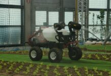 Macfrut 2022 – powrót na właściwe tory