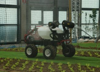 Macfrut 2022 – powrót na właściwe tory