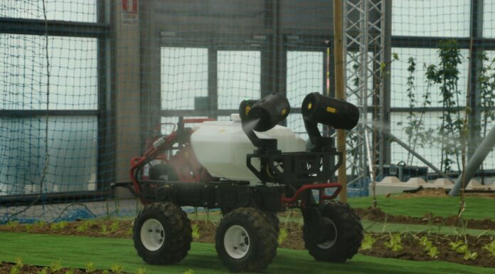 Macfrut 2022 – powrót na właściwe tory