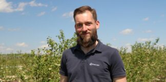 Nawożenie i biostymulacja borówki w okresie kwitnienia