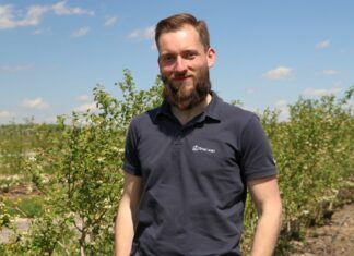 Nawożenie i biostymulacja borówki w okresie kwitnienia