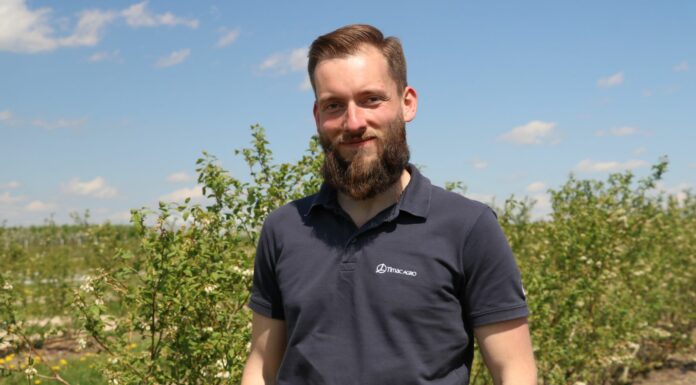 Nawożenie i biostymulacja borówki w okresie kwitnienia